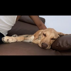 Meet your Posher, Jesús